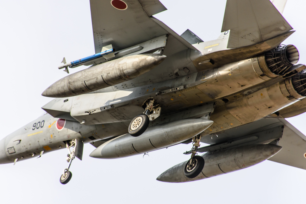 F-15J