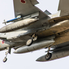 F-15J