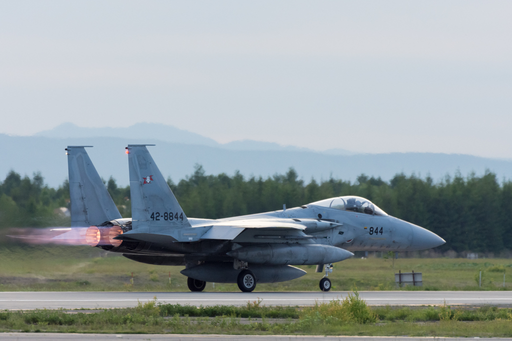 F−15J　203飛行隊