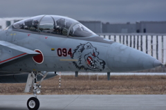 F-15DJ