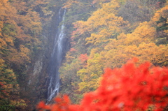 紅葉の八滝