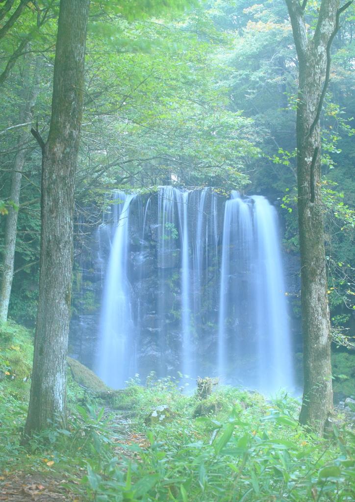 緑に包まれる唐沢の滝