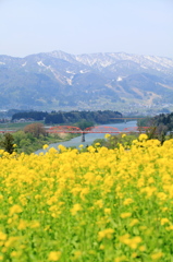 飯山の春