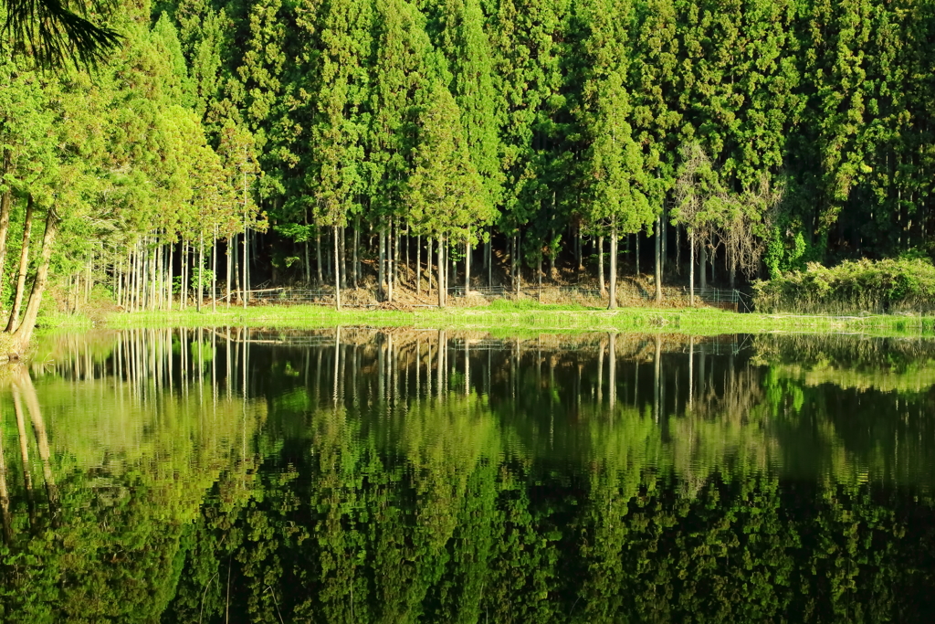 水に映る風景