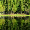 水に映る風景