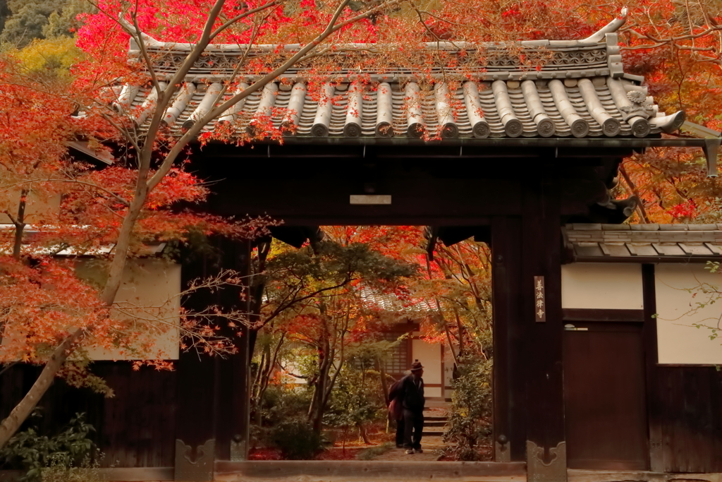 紅葉寺