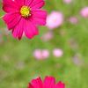 reflection・・？