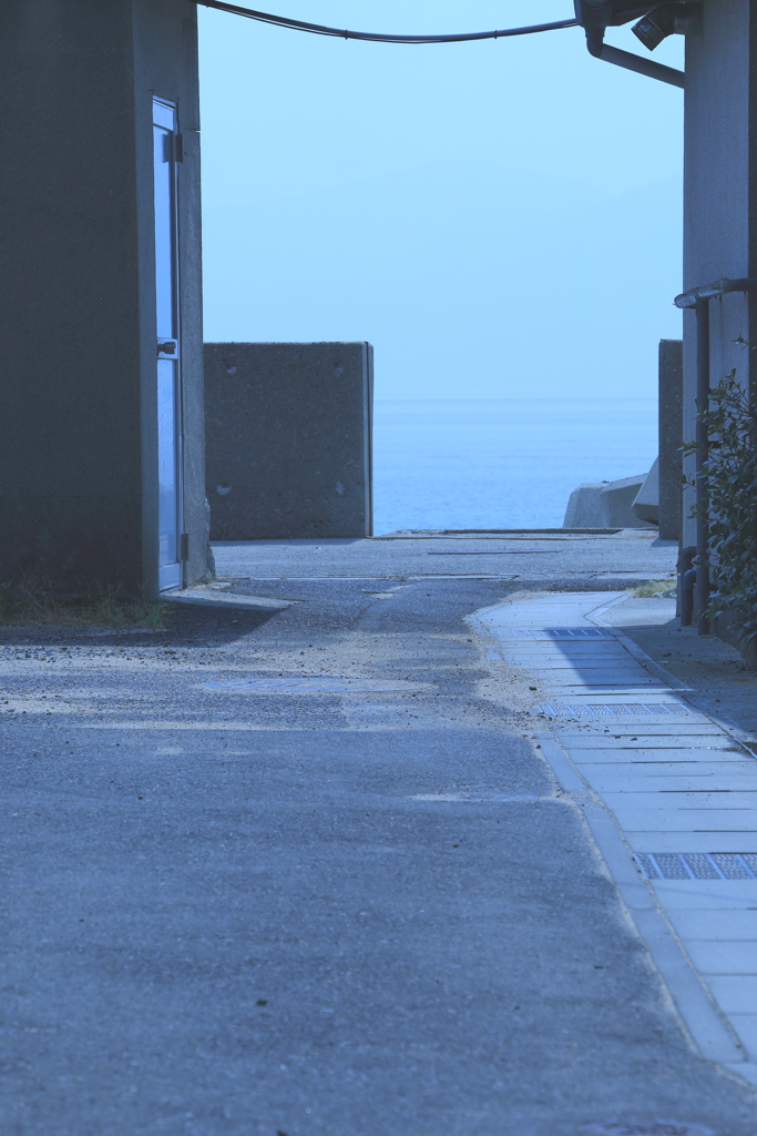夏の思い出