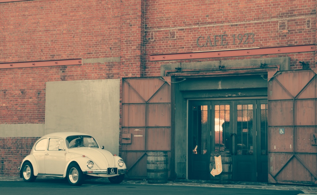 Beetle