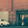 Beetle