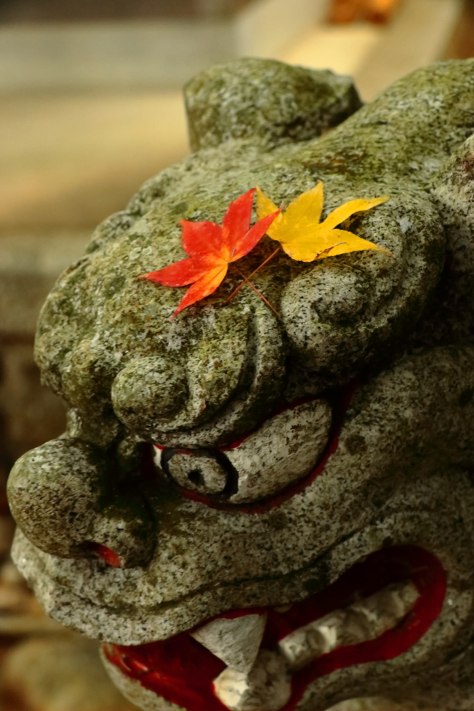 紅葉飾り
