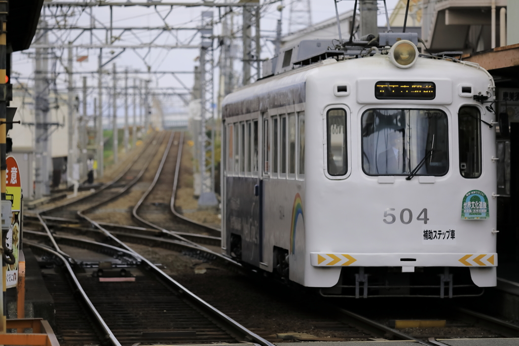 なにわのちん電