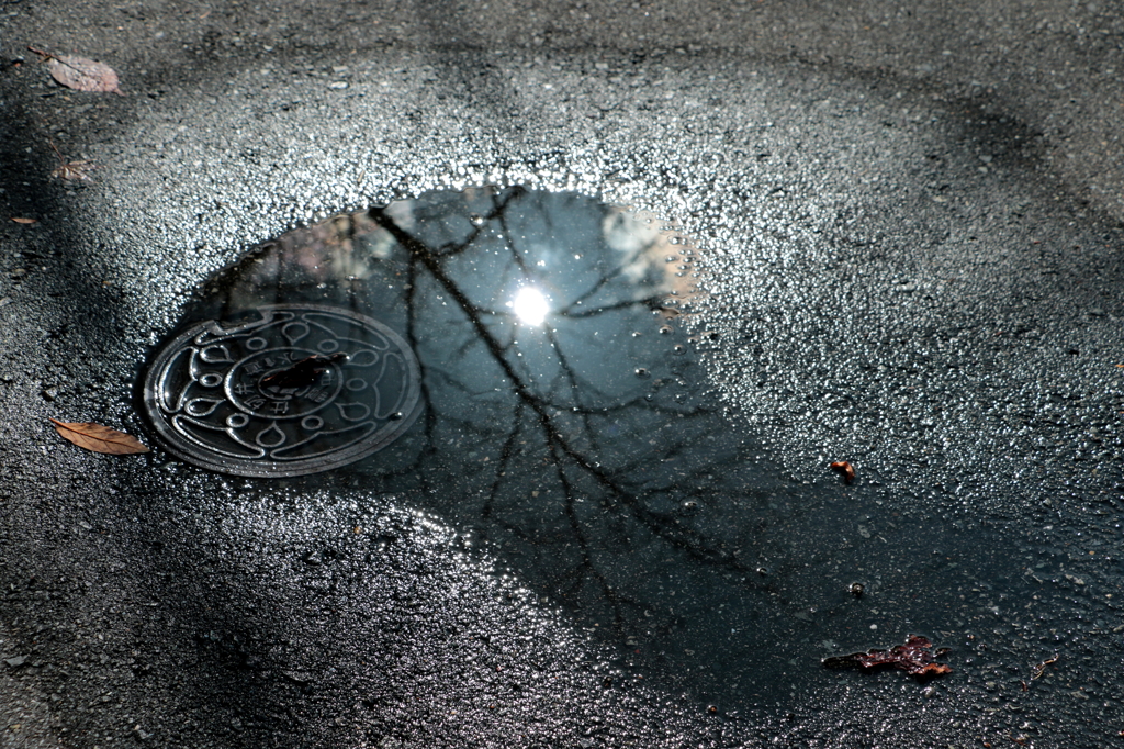 雨上がりに・・・