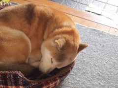 、