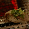 炙り肉寿司