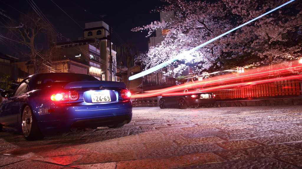 京都祇園夜桜