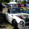 DATSUN