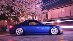 京都祇園夜桜