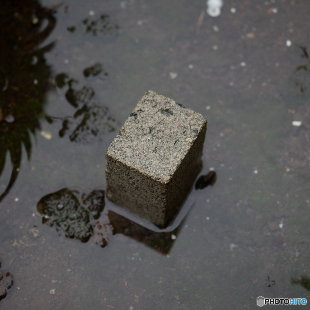 雨の中に浮かぶもの