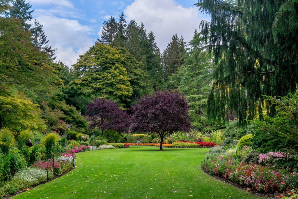 The Butchart Garden