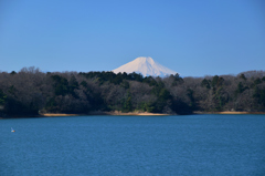 富士山from多摩湖