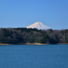 富士山from多摩湖
