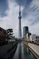 逆さツリーならず