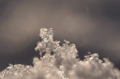 きらっと輝く雪の結晶