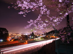 夜桜　高速皿倉山ケーブルバス停