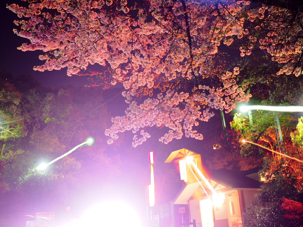 皿倉山の夜景ズーミング