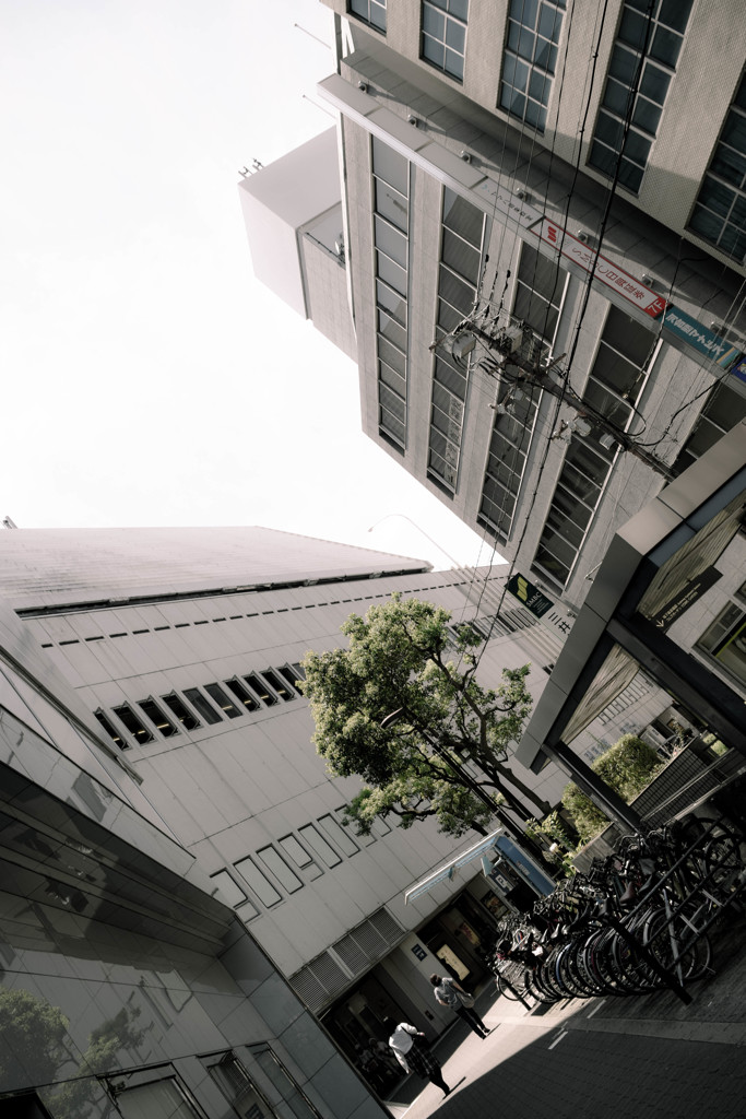 仮想都市