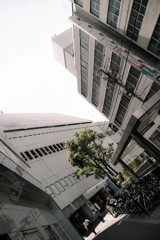 仮想都市