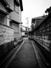 道の揺らぎ