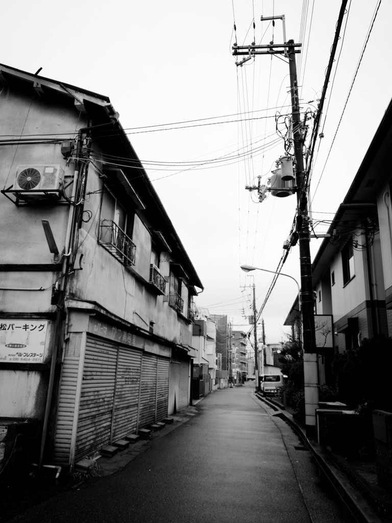 道の揺らぎ