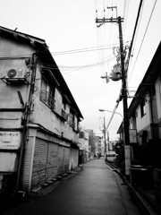 道の揺らぎ