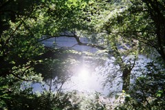 山道で写ルンです❶