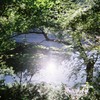 山道で写ルンです❶
