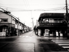 鴉の情景