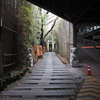 癒しへの路