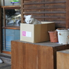 何見てるのよ