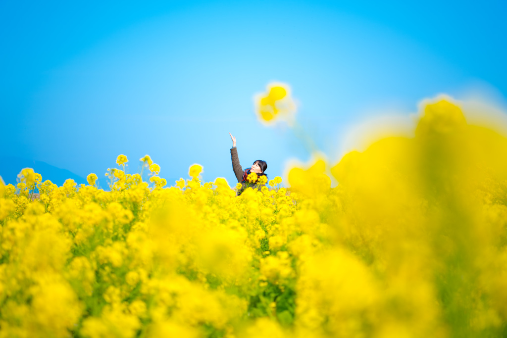 ぴゅん