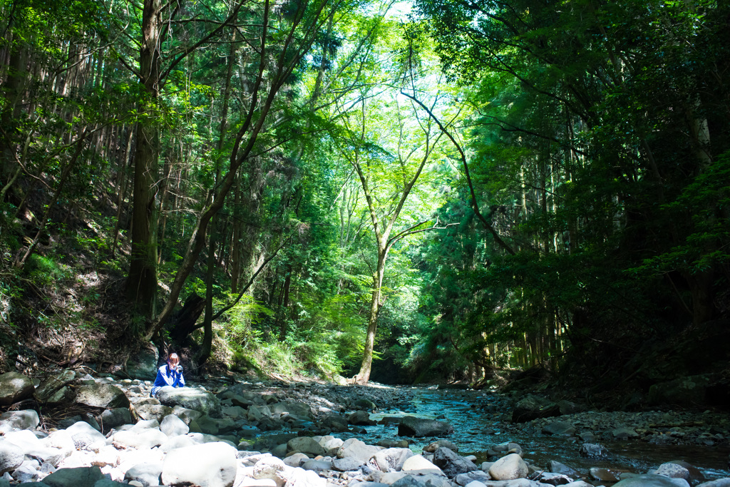 夏の奥河内