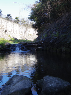 葉山の川