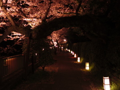 松川遊歩道の夜