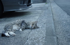 今は亡き宗次郎