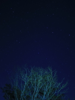 寒い冬の夜空