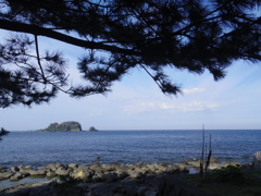 潮吹き海岸から
