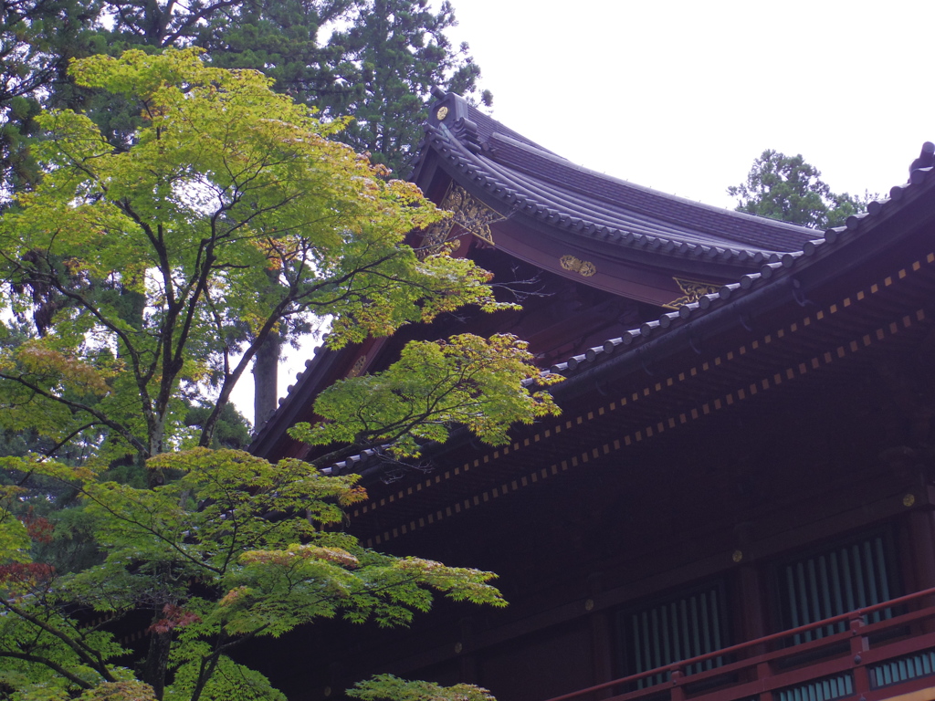 東照宮