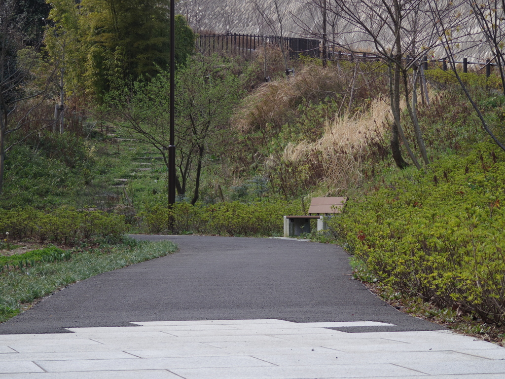 誰もいない公園