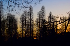 夕焼け